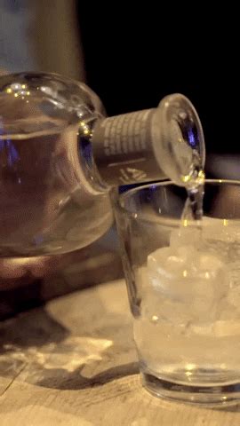 taking a shot gif